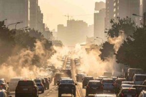 smog danni vista