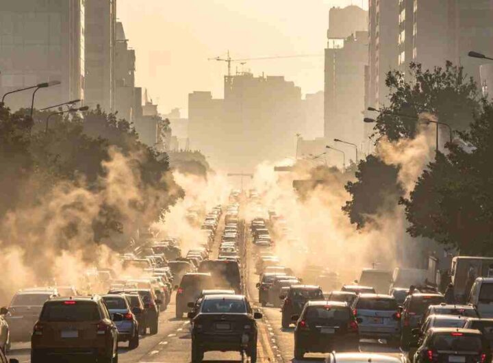 smog danni vista