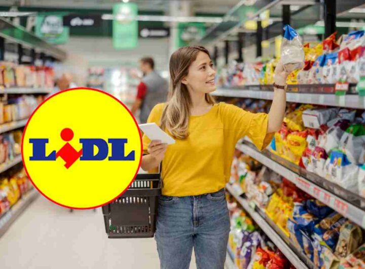 lidl offerta