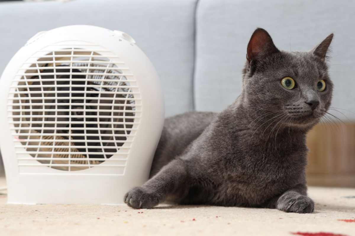 termoventilatore piccolo