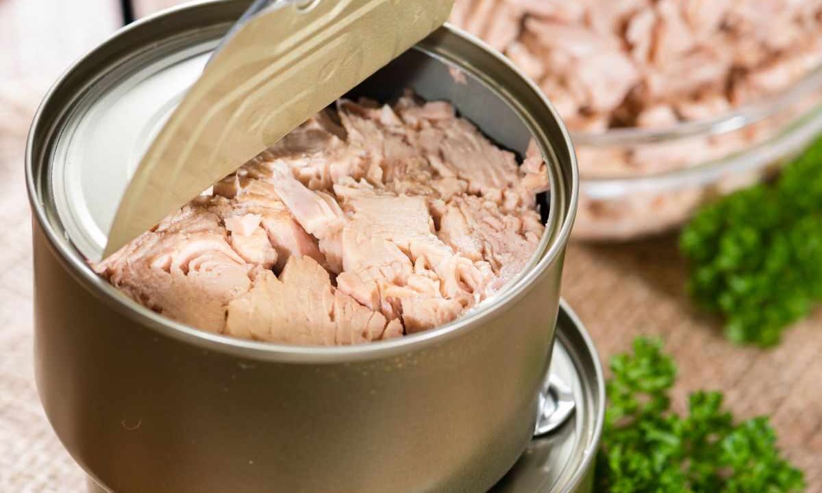 olio scatoletta tonno: ecco dove smaltirlo