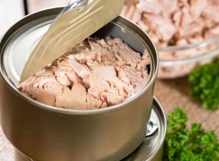 olio scatoletta tonno: ecco dove smaltirlo