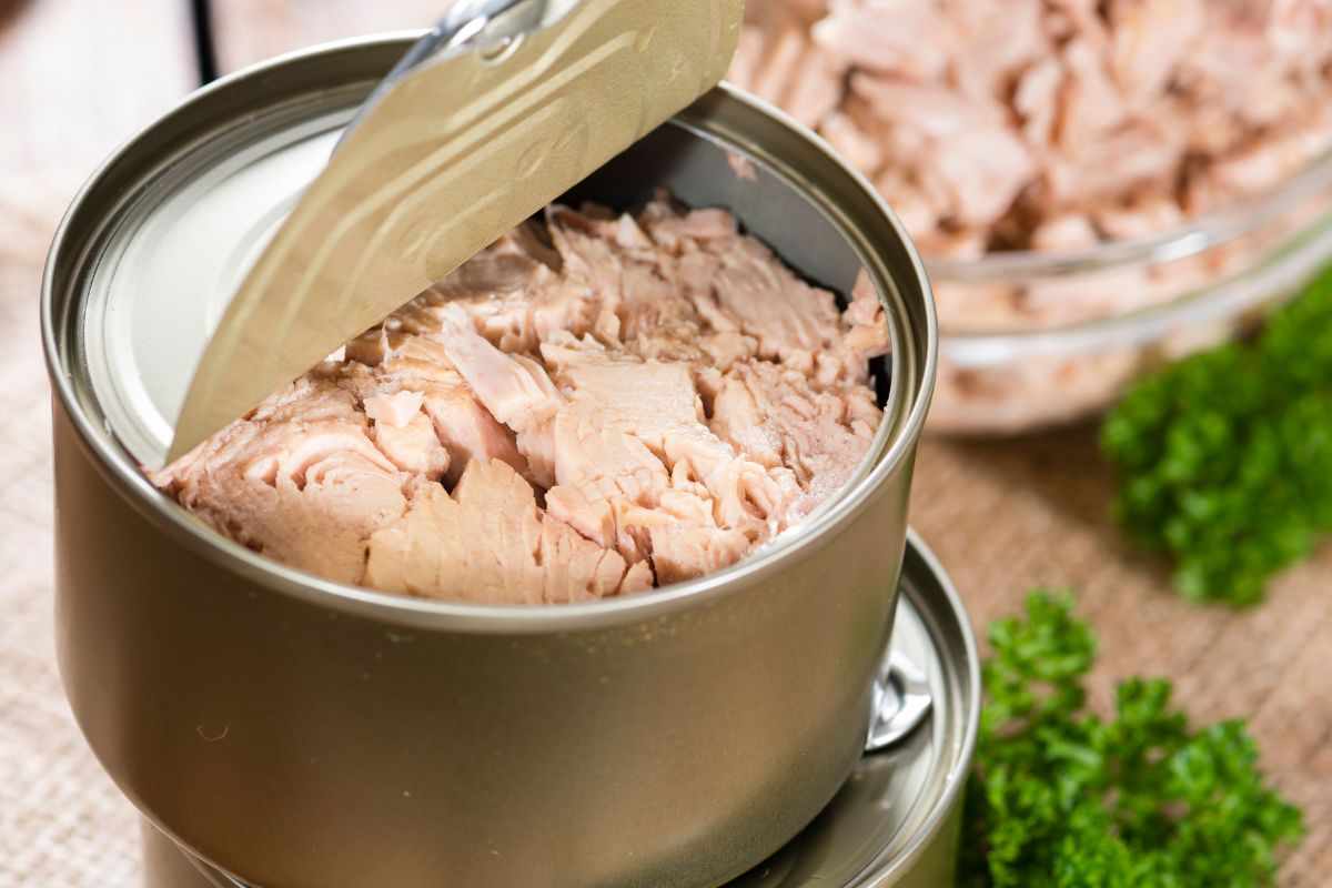 olio scatoletta tonno: ecco dove smaltirlo