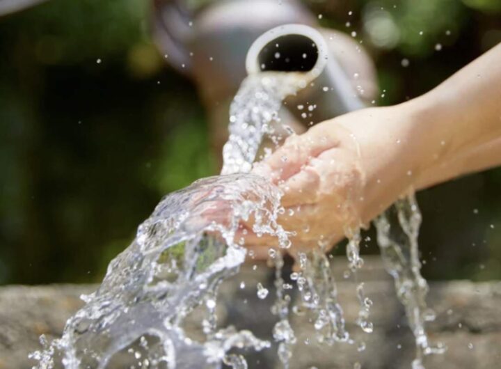 Un recente studio presentato durante la manifestazione Ecomondo 2025 a Rimini, in collaborazione con Unitalia e a cura di Consumers Forum