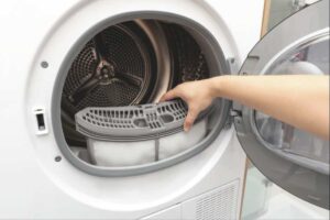 Ciò che molti ignorano è che quest’ultima non va semplicemente gettata: la lanugine dell’asciugatrice può rappresentare una risorsa preziosa e versatile, con molteplici utilizzi domestici e sostenibili.