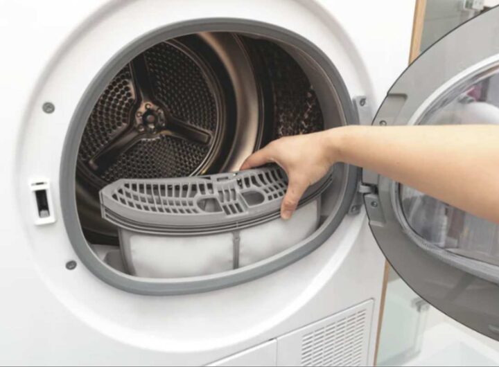 Ciò che molti ignorano è che quest’ultima non va semplicemente gettata: la lanugine dell’asciugatrice può rappresentare una risorsa preziosa e versatile, con molteplici utilizzi domestici e sostenibili.