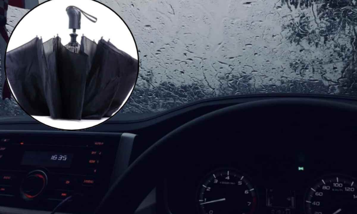 La muffa è un fungo microscopico che prospera in ambienti umidi e poco ventilati, condizioni tipiche degli abitacoli durante l’inverno