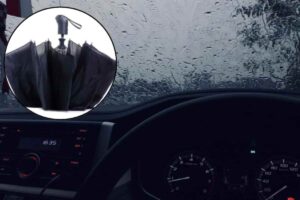 La muffa è un fungo microscopico che prospera in ambienti umidi e poco ventilati, condizioni tipiche degli abitacoli durante l’inverno