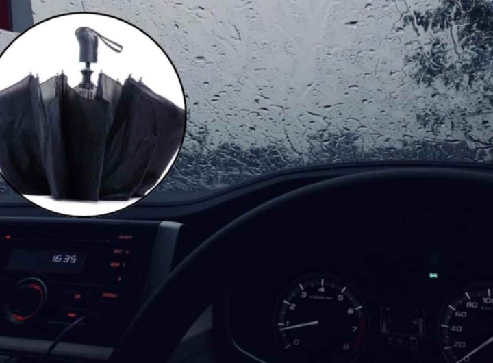 La muffa è un fungo microscopico che prospera in ambienti umidi e poco ventilati, condizioni tipiche degli abitacoli durante l’inverno