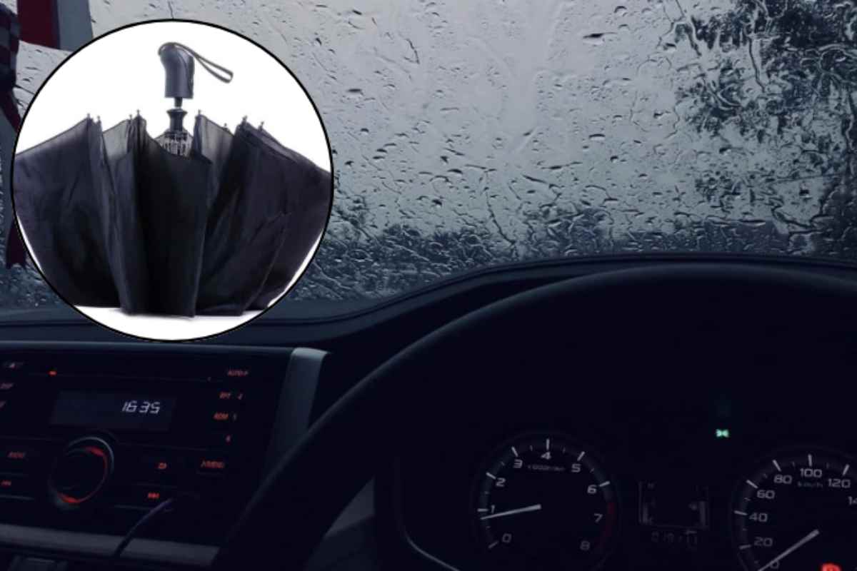 La muffa è un fungo microscopico che prospera in ambienti umidi e poco ventilati, condizioni tipiche degli abitacoli durante l’inverno