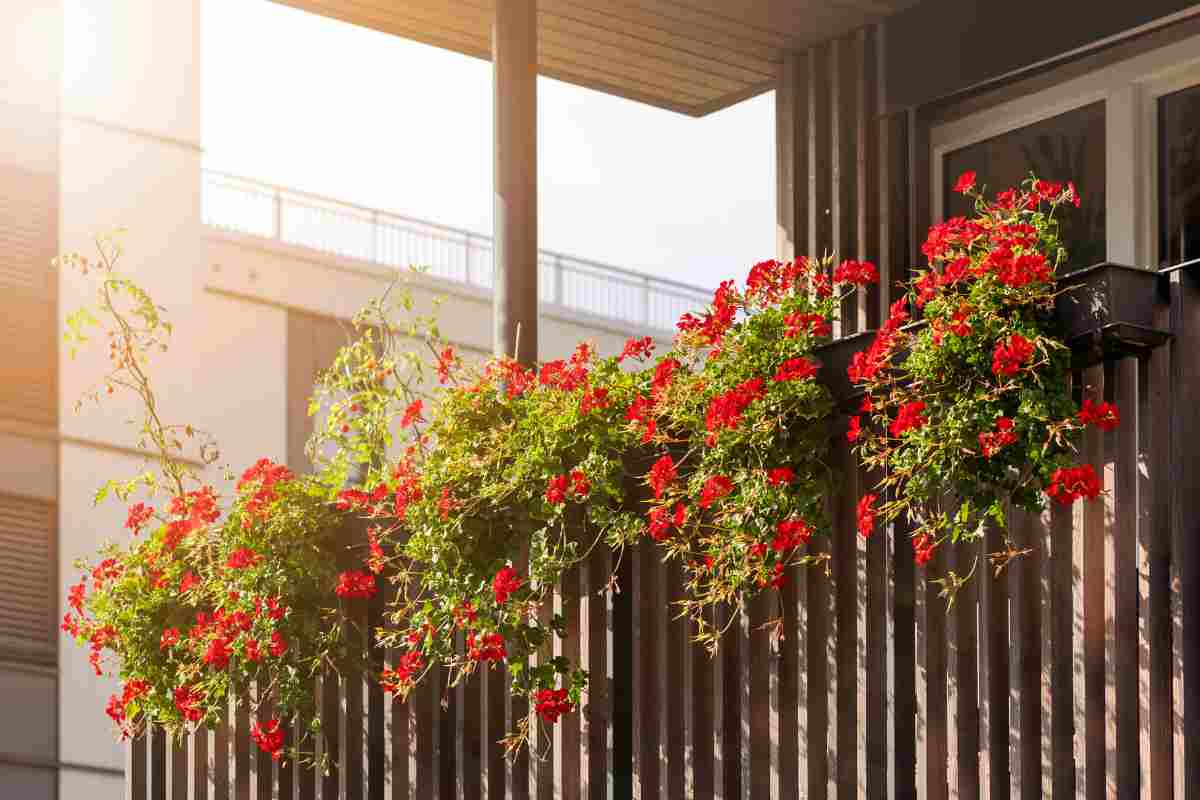 Balcone