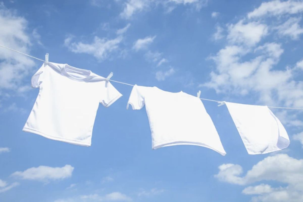 Una delle componenti principali dei gusci d’uovo è il carbonato di calcio, presente per circa il 95% della loro struttura.