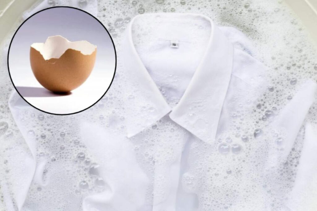 Da semplici accorgimenti per la casa a soluzioni green per il giardinaggio, i gusci d’uovo si confermano una risorsa preziosa e versatile