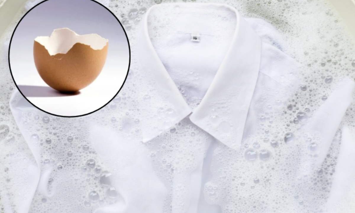 Da semplici accorgimenti per la casa a soluzioni green per il giardinaggio, i gusci d’uovo si confermano una risorsa preziosa e versatile