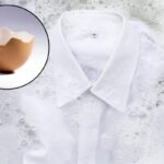 Da semplici accorgimenti per la casa a soluzioni green per il giardinaggio, i gusci d’uovo si confermano una risorsa preziosa e versatile