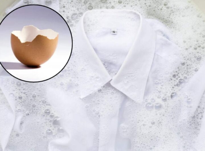 Da semplici accorgimenti per la casa a soluzioni green per il giardinaggio, i gusci d’uovo si confermano una risorsa preziosa e versatile