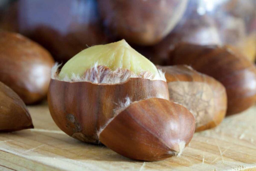 Con la stagione autunnale che porta una grande abbondanza di castagne, è importante valorizzare questo sottoprodotto naturale