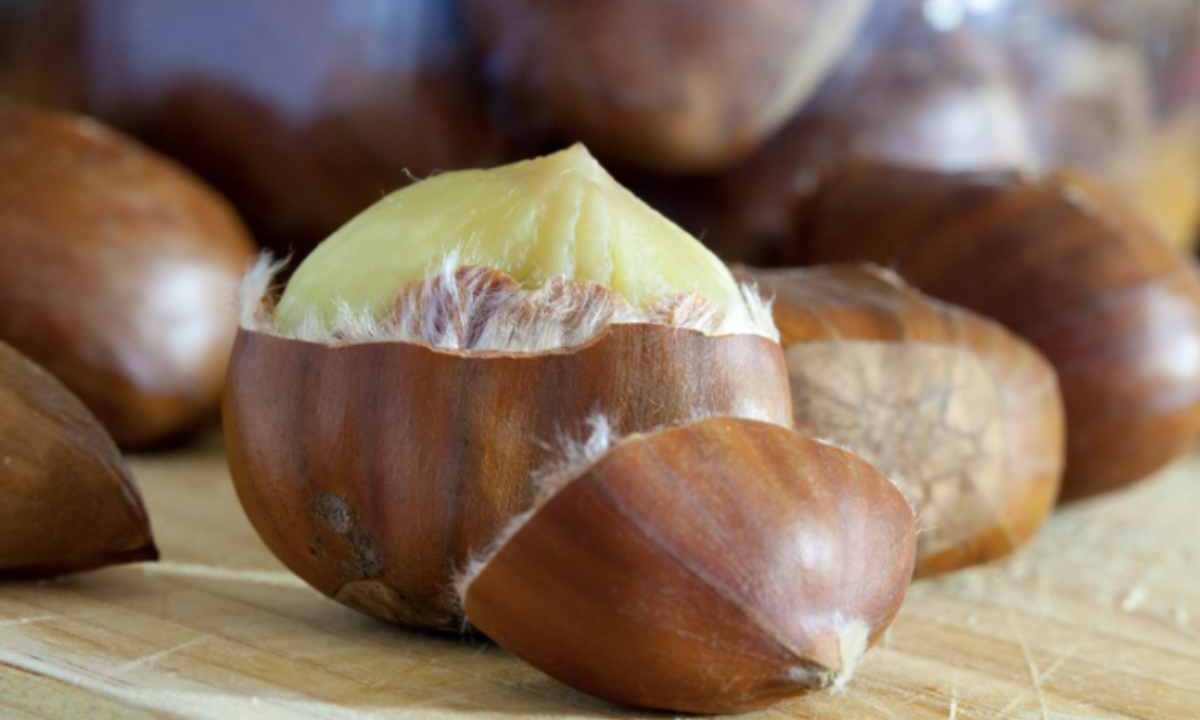 Con la stagione autunnale che porta una grande abbondanza di castagne, è importante valorizzare questo sottoprodotto naturale