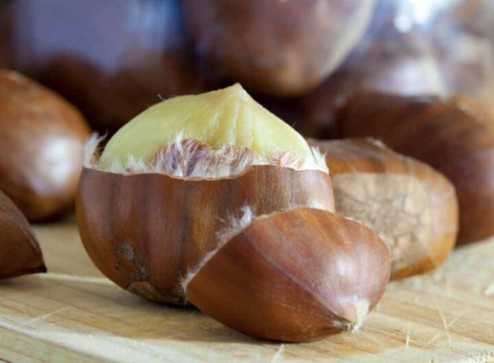Con la stagione autunnale che porta una grande abbondanza di castagne, è importante valorizzare questo sottoprodotto naturale