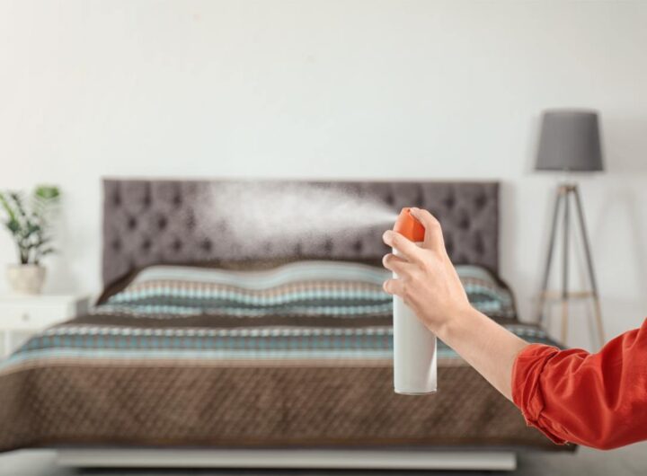 Deodorante casa