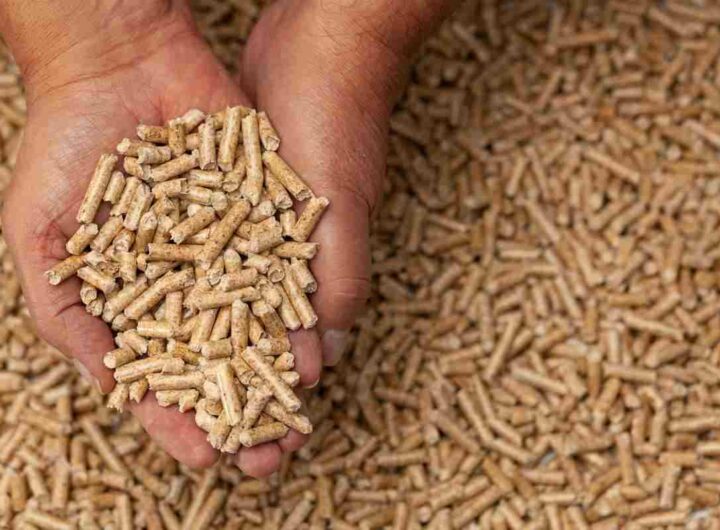 cenere pellet funzione