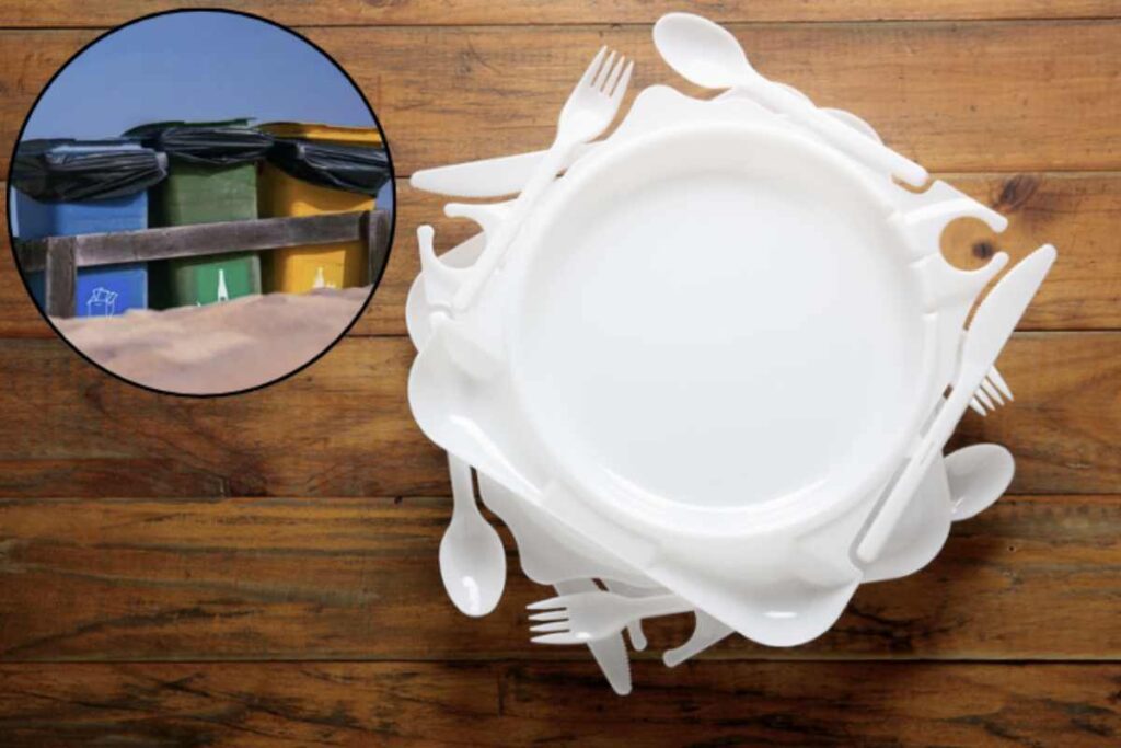 La gestione dei rifiuti plastici, in particolare dei piatti di plastica sporchi, rappresenta un tema di grande attualità nelle politiche ambientali italiane.