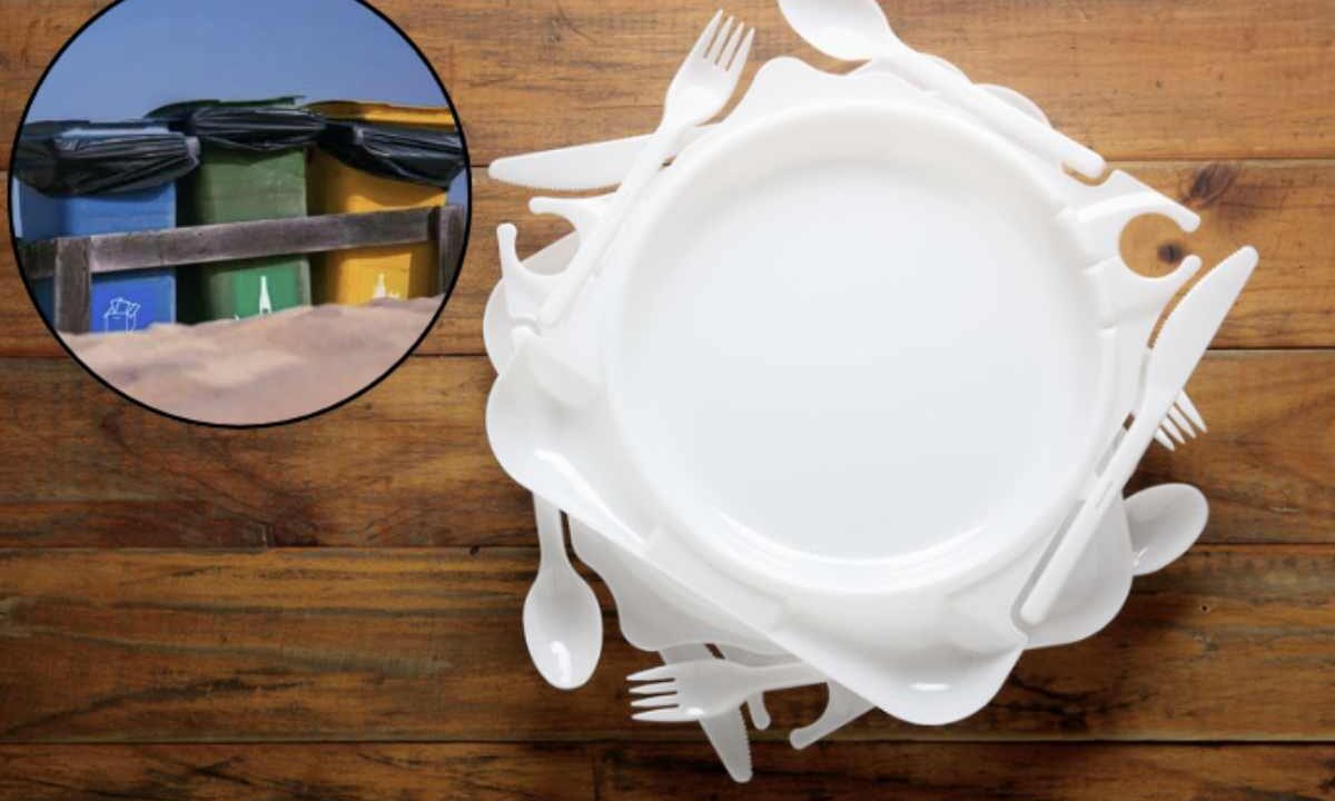 La gestione dei rifiuti plastici, in particolare dei piatti di plastica sporchi, rappresenta un tema di grande attualità nelle politiche ambientali italiane.