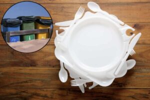 La gestione dei rifiuti plastici, in particolare dei piatti di plastica sporchi, rappresenta un tema di grande attualità nelle politiche ambientali italiane.