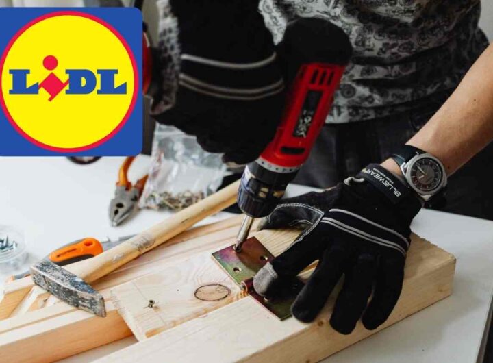 bricolage lidl