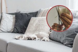 vecchi cuscini: ecco cosa puoi farci