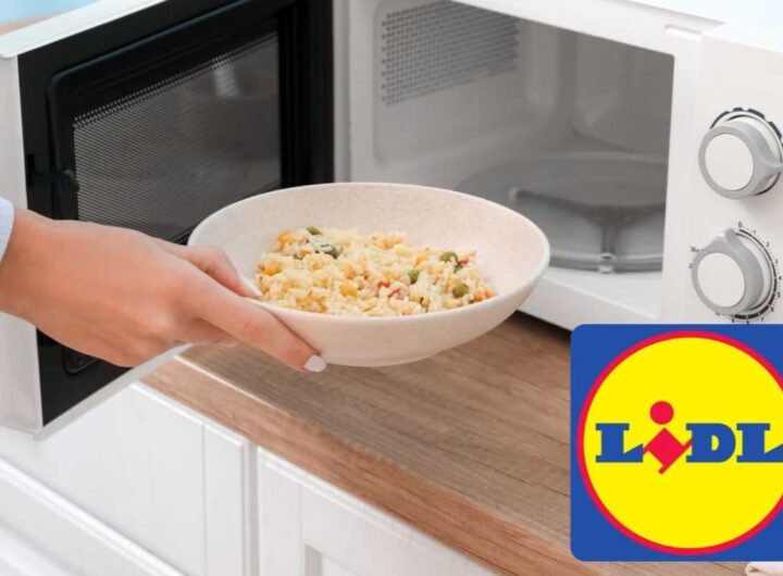 forno lidl