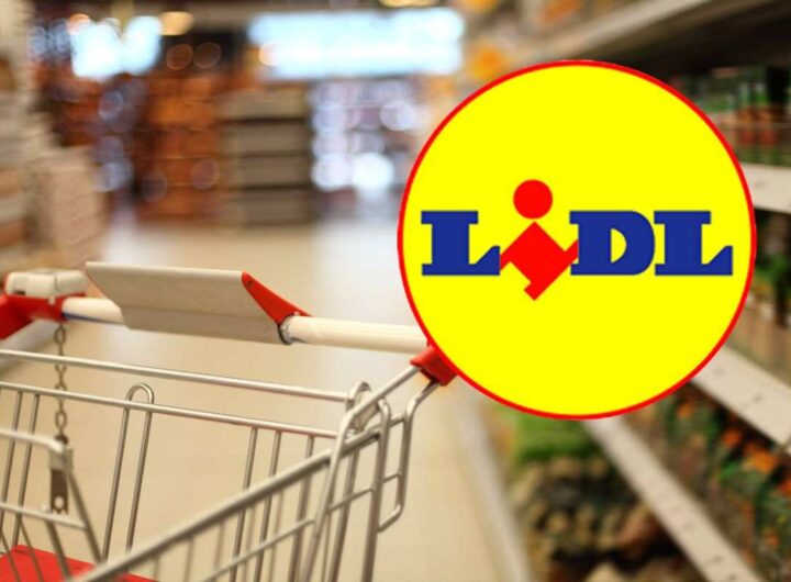 lidl trapani a meno di 30 euro
