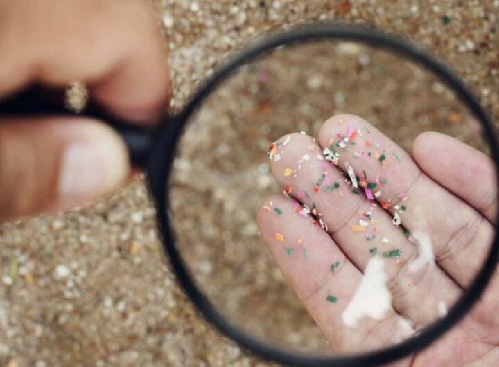 vietate le microplastiche e bagno più pulito