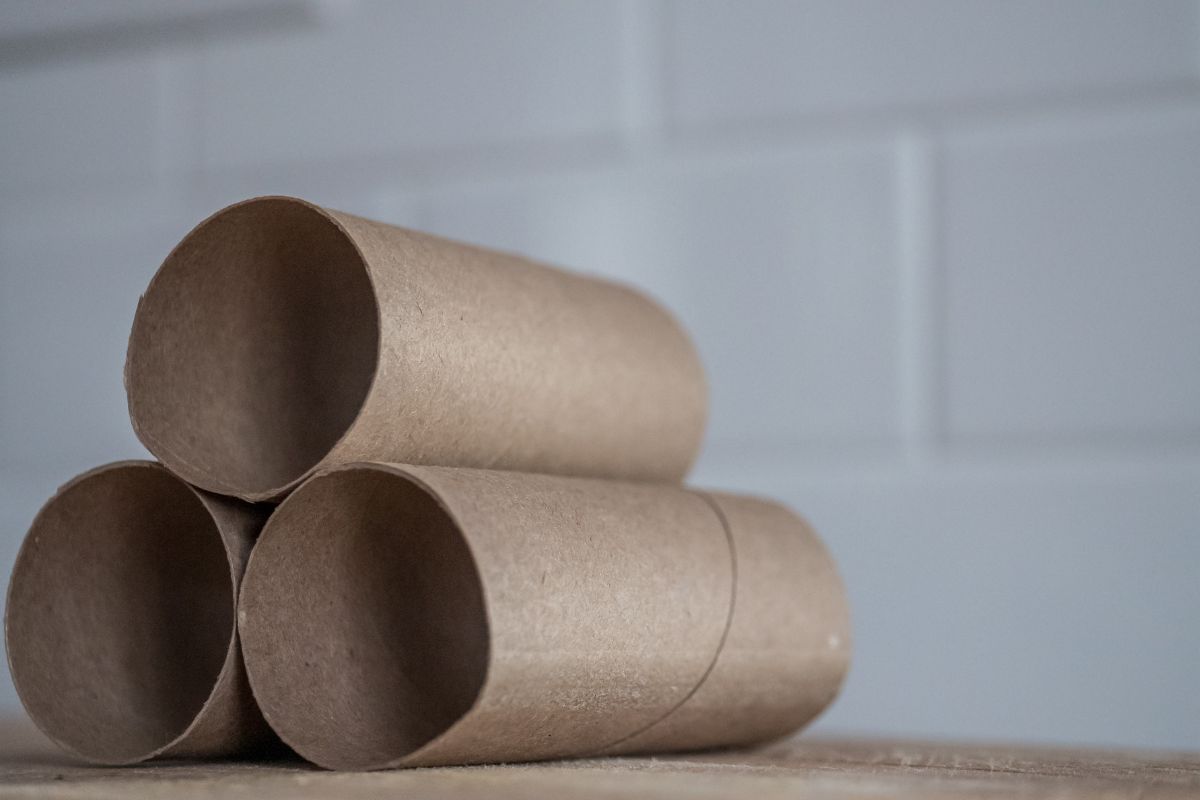 Come riciclare i rotoli di carta igienica