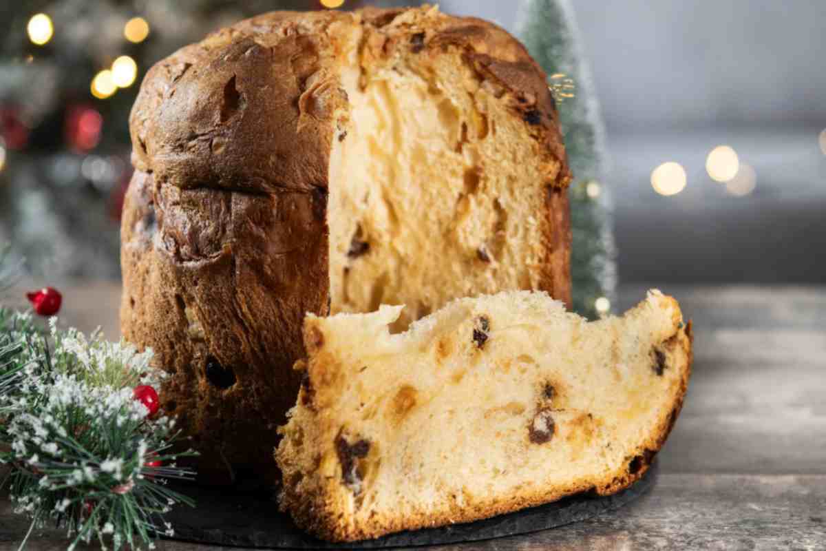 Panettone