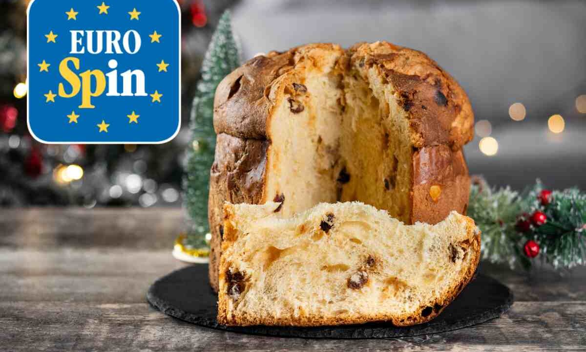 Panettone
