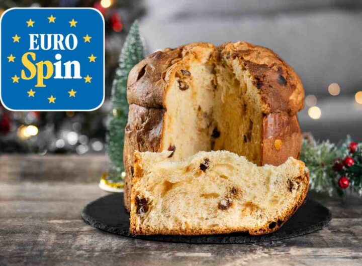 Panettone