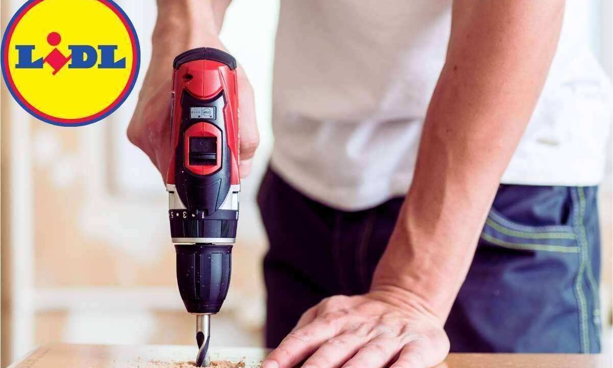 Lidl spiazza tutti, kit fai da te completo