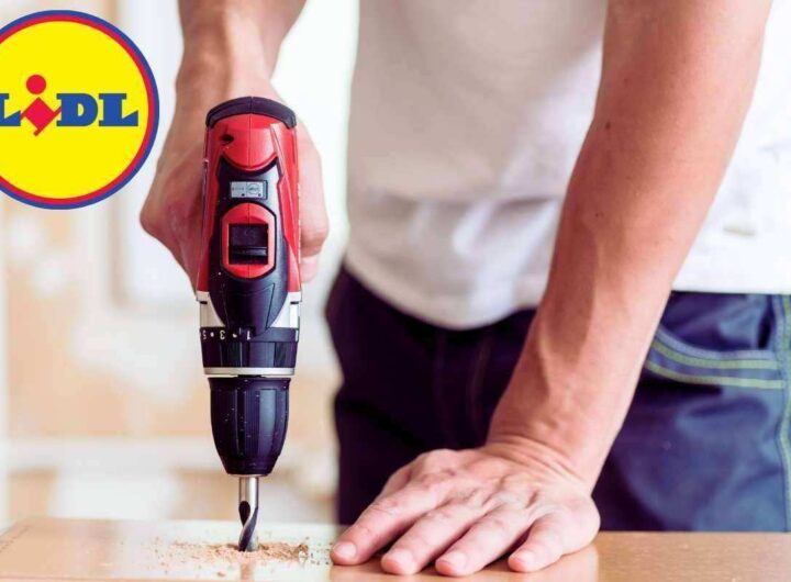 Lidl spiazza tutti, kit fai da te completo