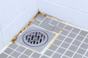 Addio muffa in bagno: via in pochi minuti