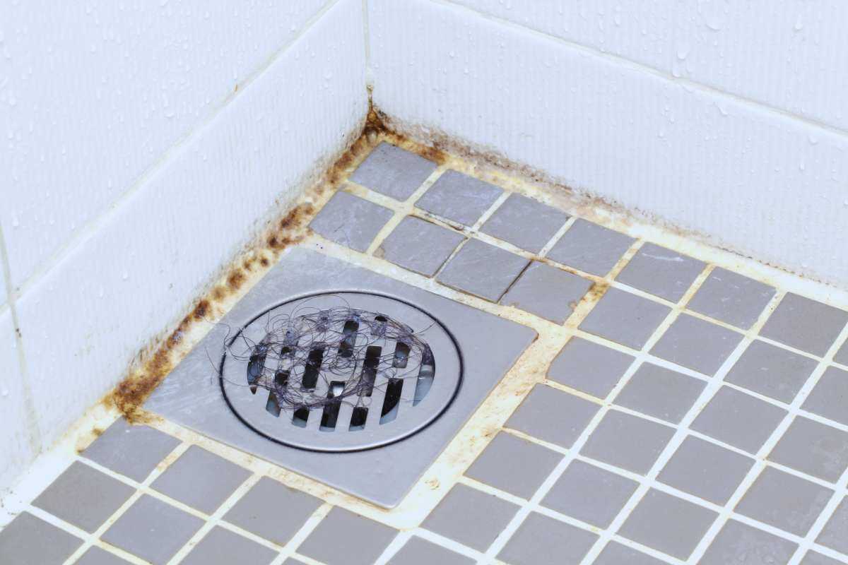 Addio muffa in bagno: via in pochi minuti