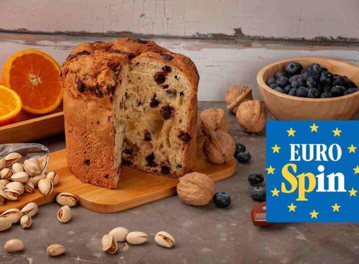 panettone eurospin azienda produttrice