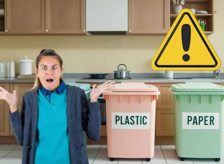 raccolta differenziata