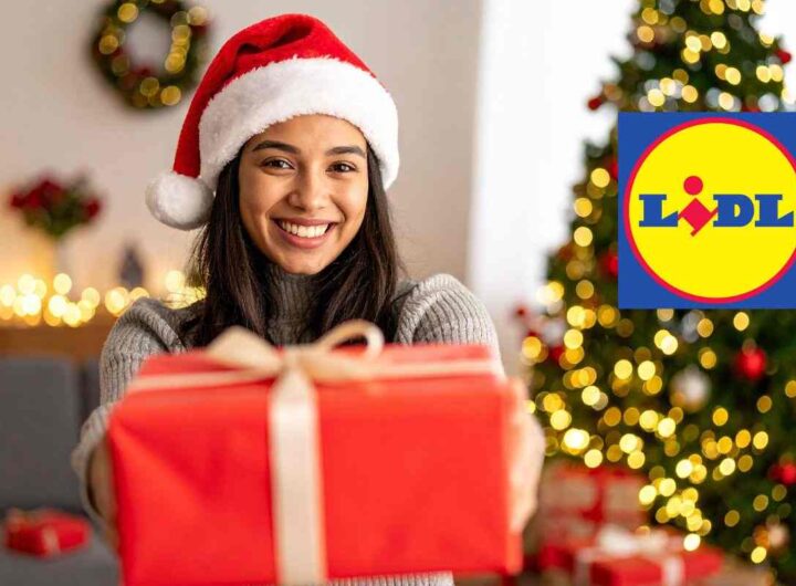 offerta regalo lidl