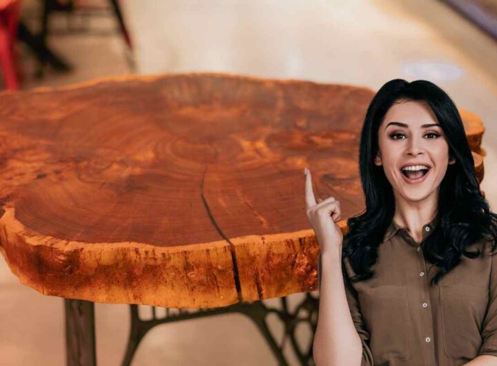 tronco come riciclarlo