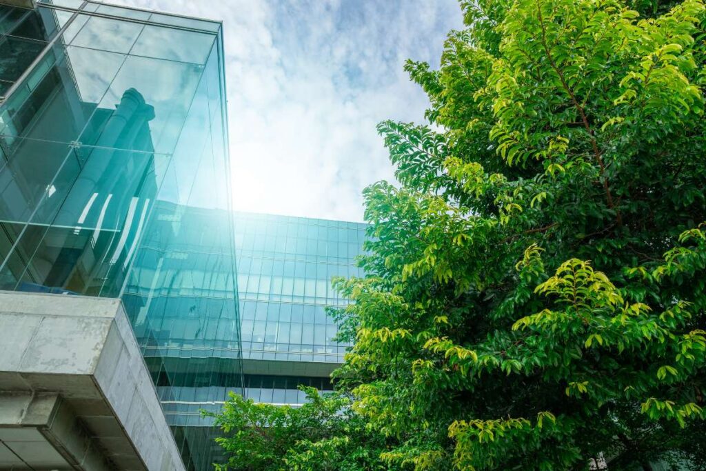 Un moderno palazzo di vetro affiancato da un rigoglioso albero verde come simbolo di azienda sostenibile.