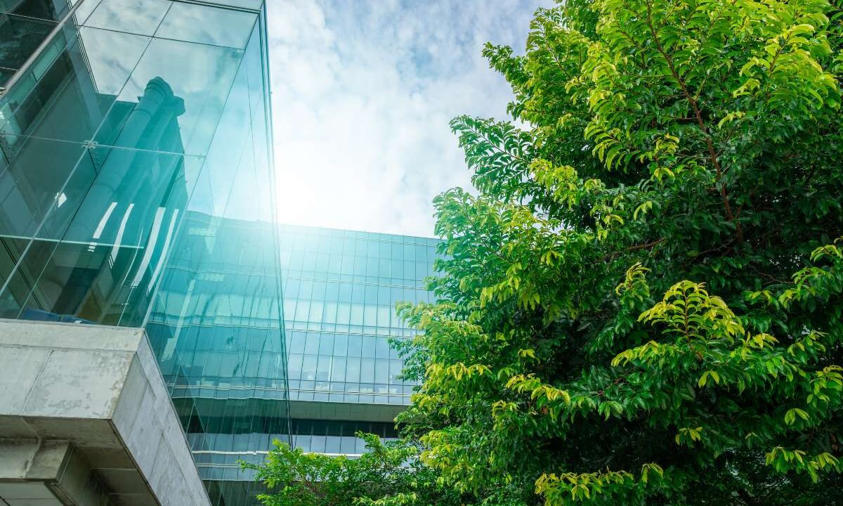 Un moderno palazzo di vetro affiancato da un rigoglioso albero verde come simbolo di azienda sostenibile.