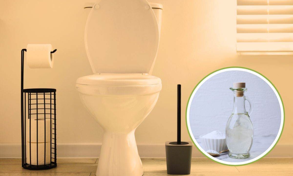 aceto bianco nel water