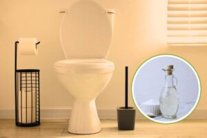 aceto bianco nel water