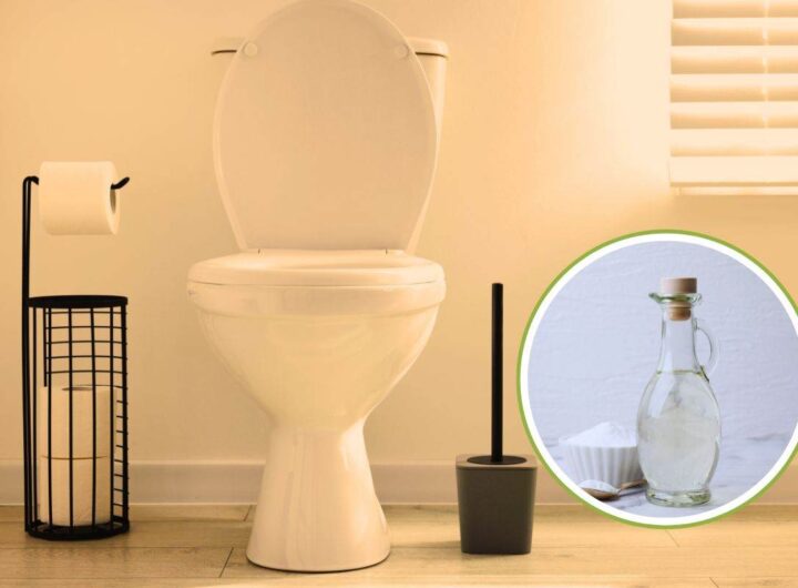 aceto bianco nel water